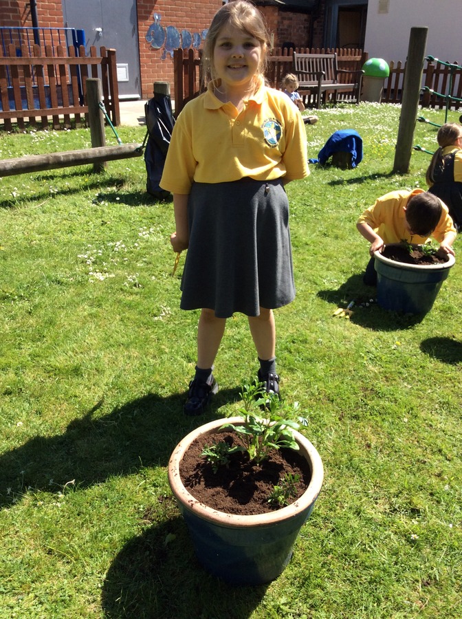Planting our plants